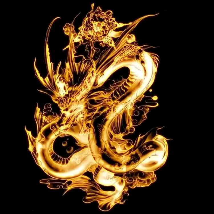 🐉战🗡狼🗡'''中🗡队🐉