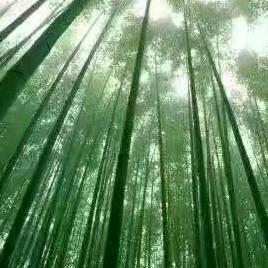 晚风轻卍你的脸