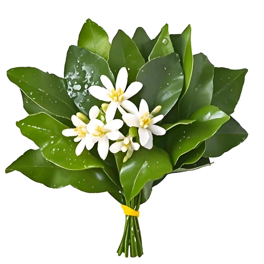 小太陽๑҉ㅤㅤㅤㅤㅤㅤㅤ