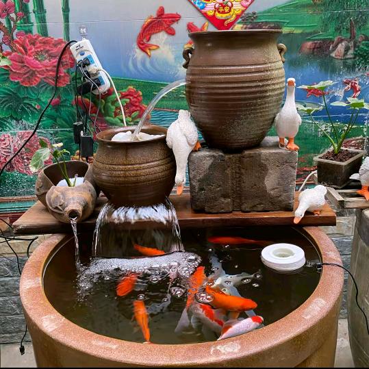 石与水水宠