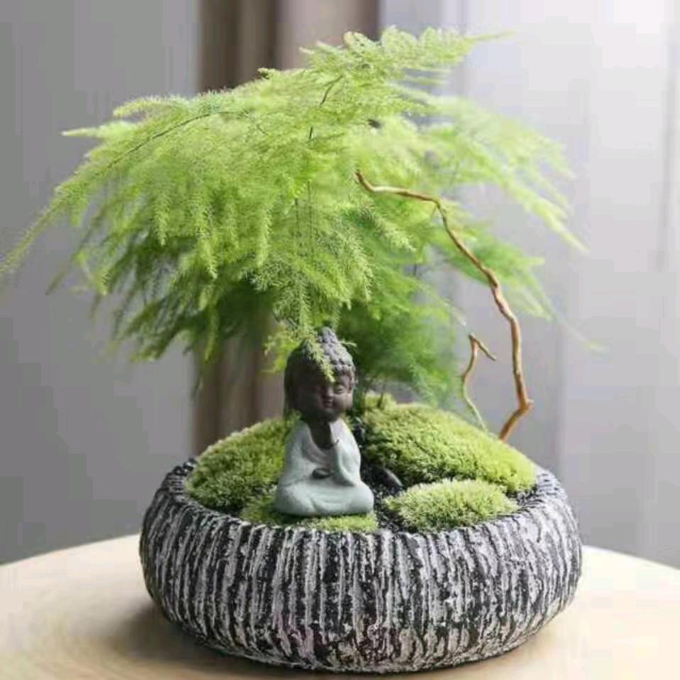 晓了显火（粟）