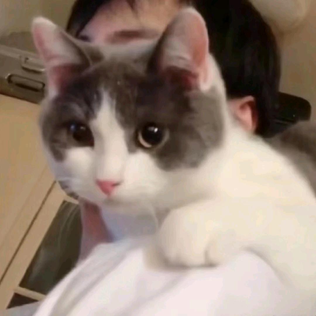 梵音云梦