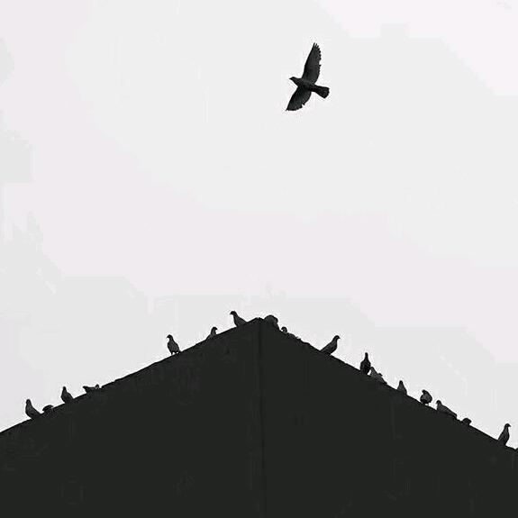 你好啊