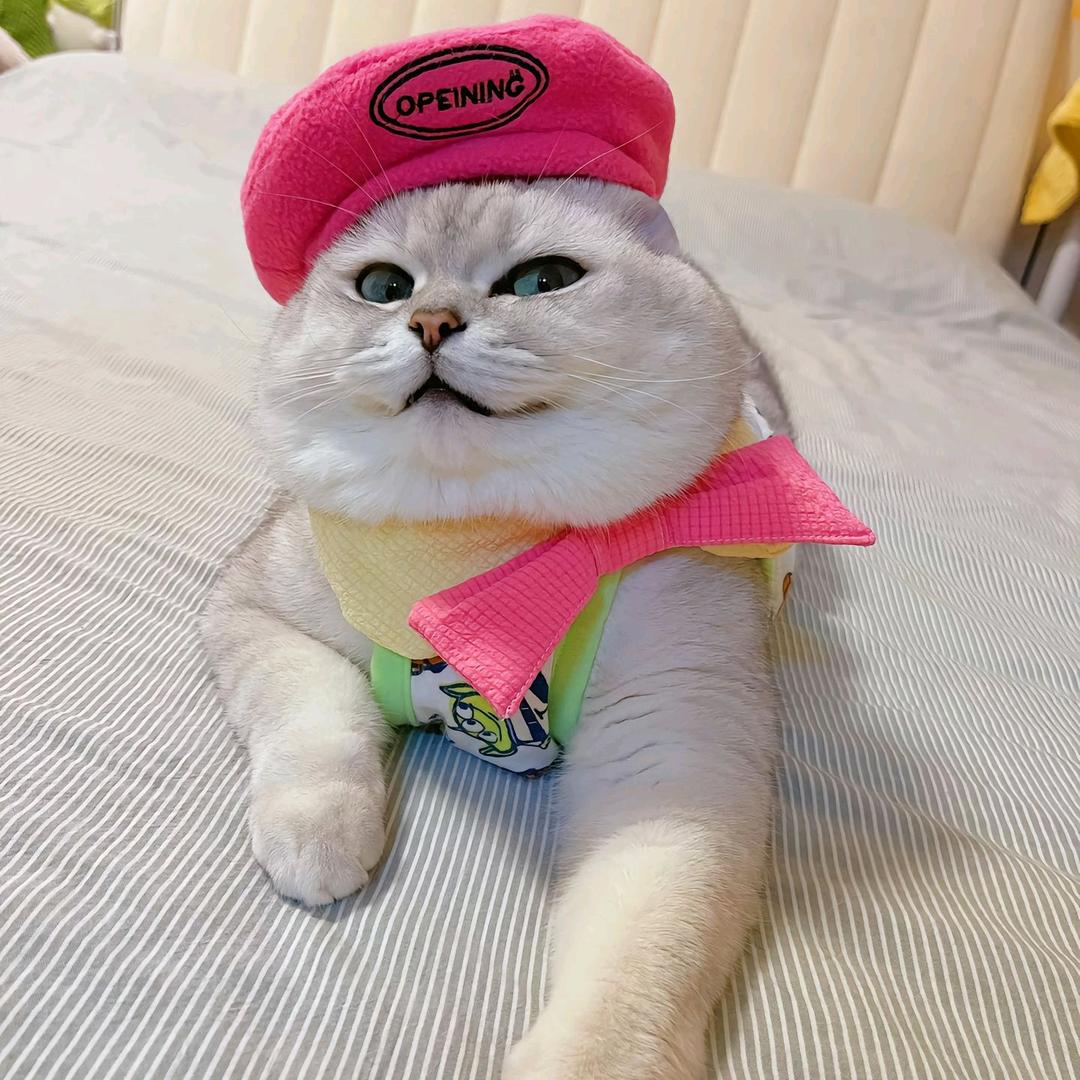 胖芬儿头成精了