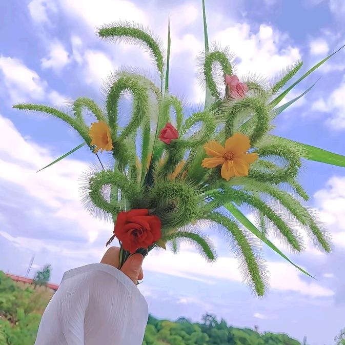 ꧁༺半夏༻꧂: ꧁💞