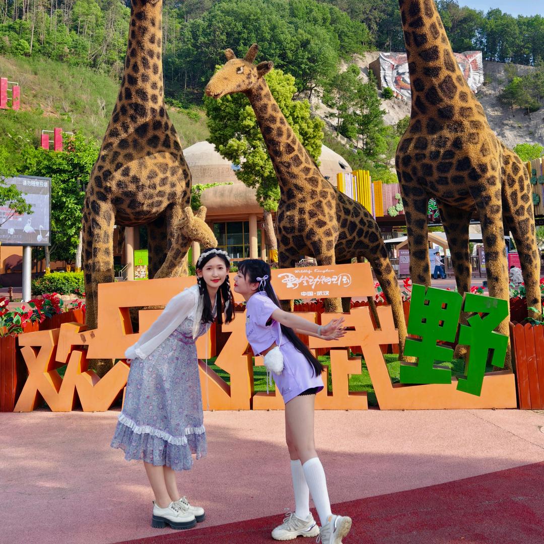 咸鱼派