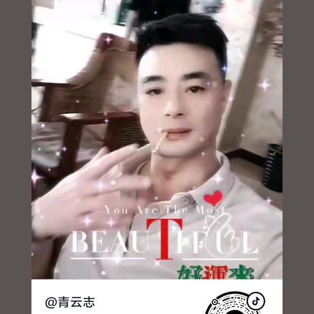 青云志