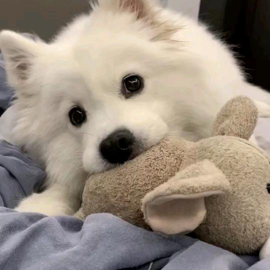 ⊙︿⊙