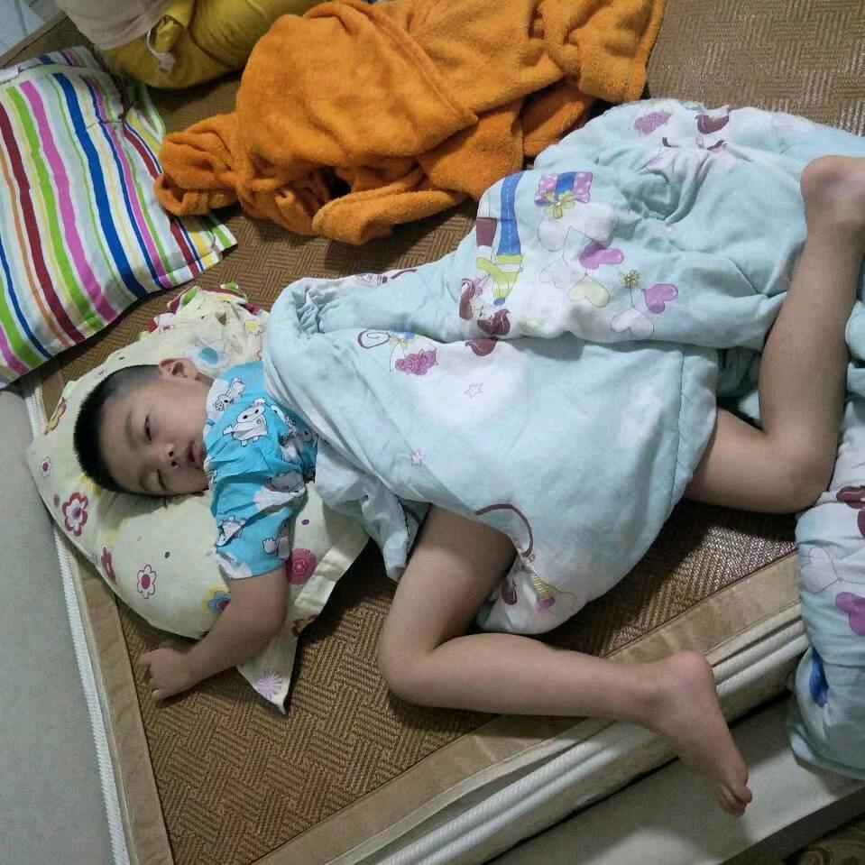 鲶鱼