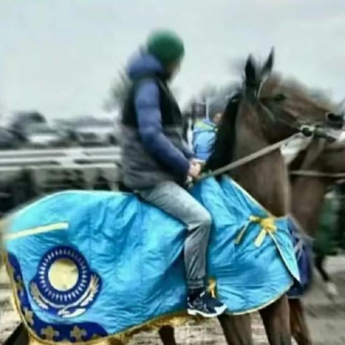 爱马男孩小哈🐎