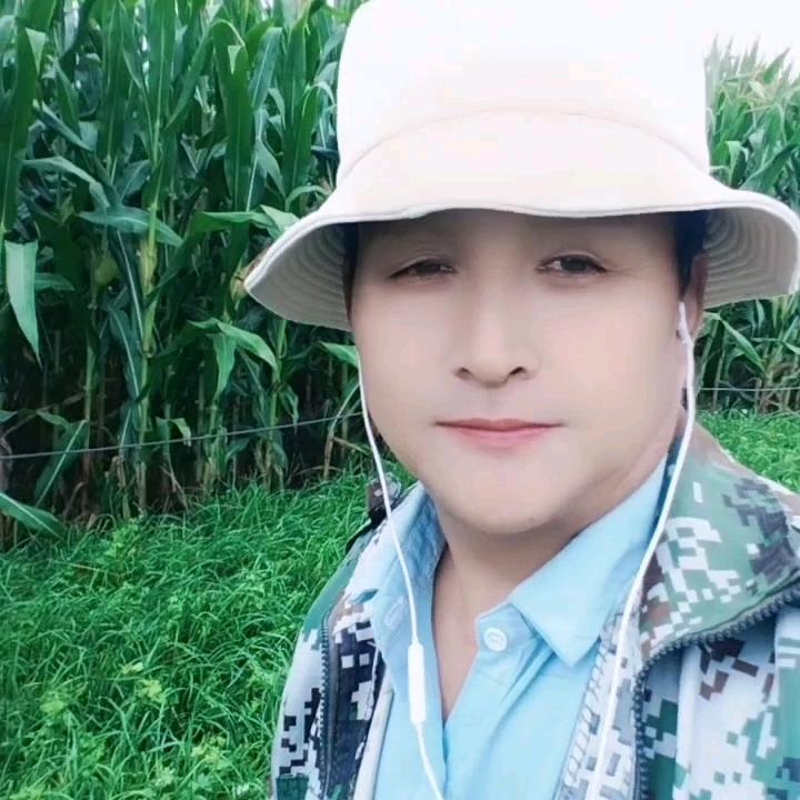 张学禄