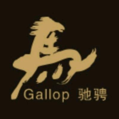 陕西驰骋人力资源