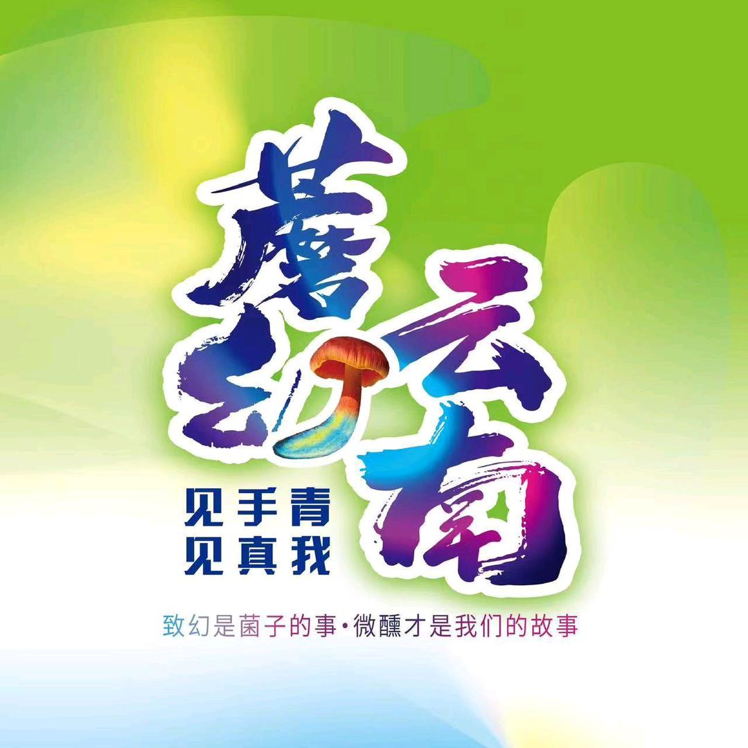 蘑幻云南见手青精酿红河州一号仓库