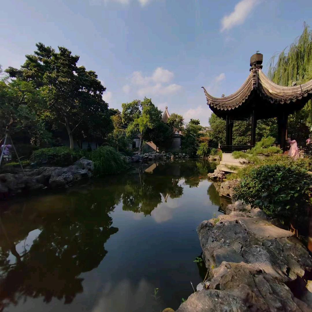 红豆