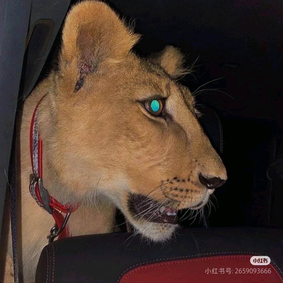 也古达拉撒
