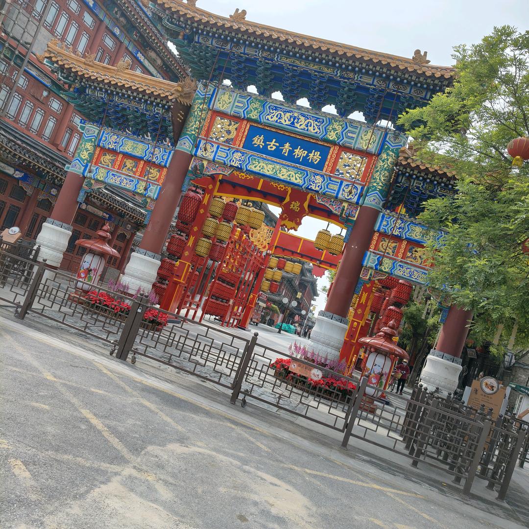 小马哥