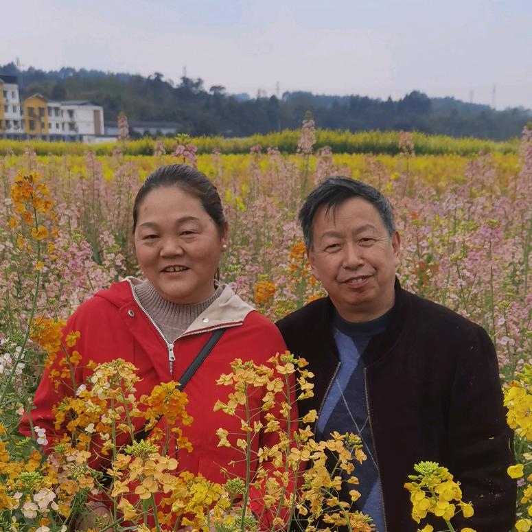 小叶哥、，户－vWszsde The