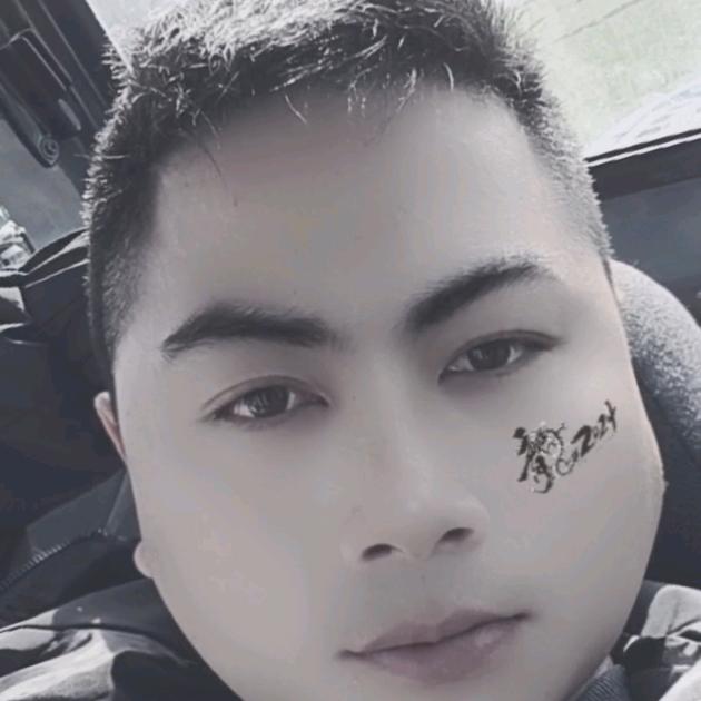 小书意