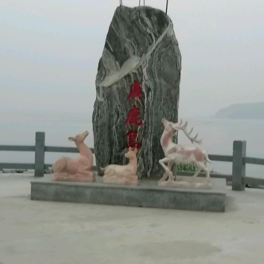 我的前半生过去了