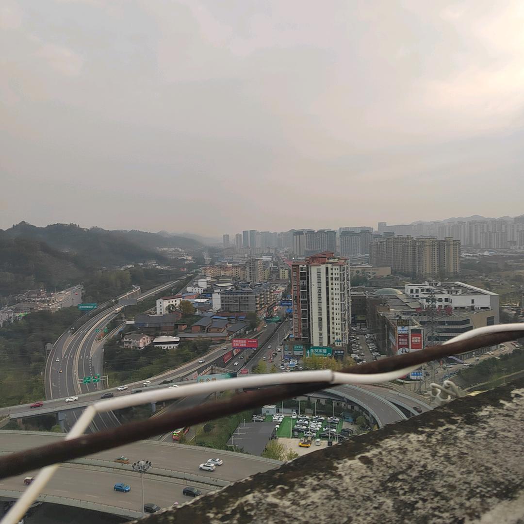 小龙