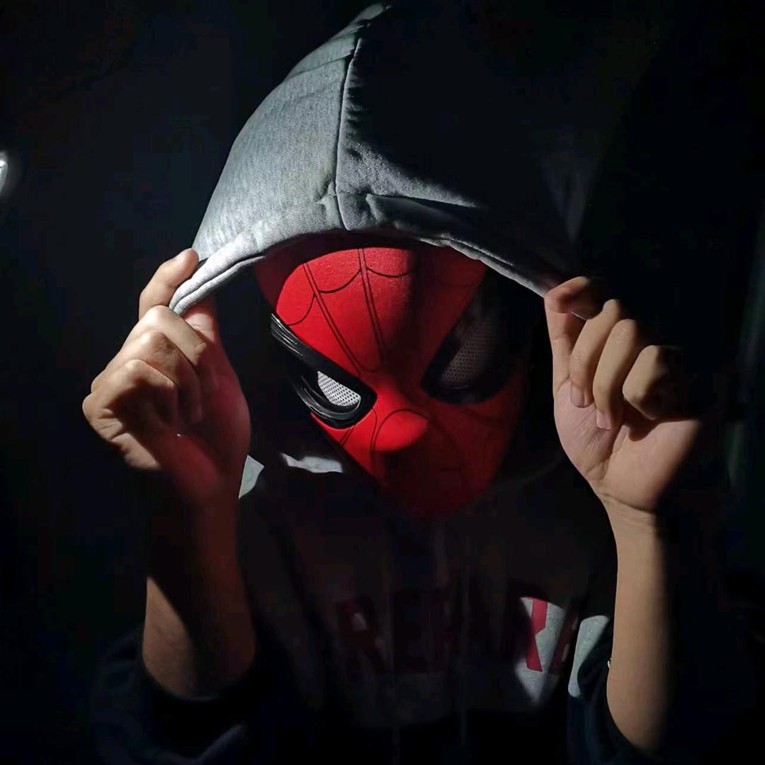 数叶迎风尚有声