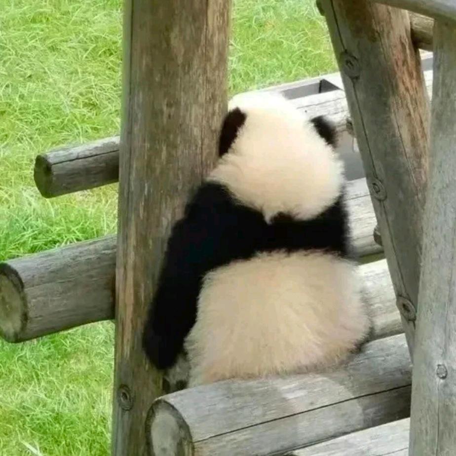 ᰔᩚ 玖月de糖ᥫᩣ