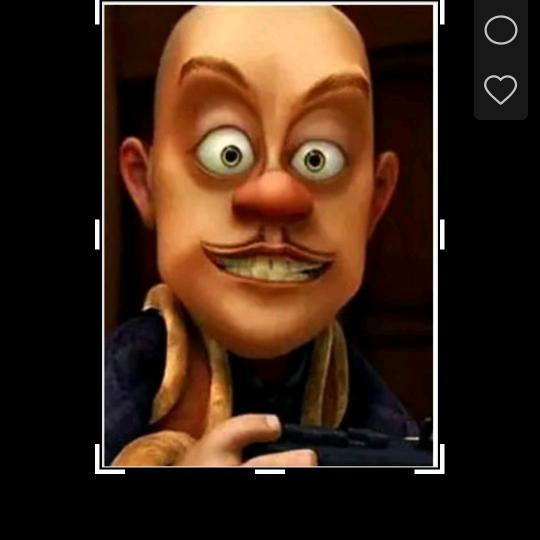 趴在玻璃上的苍蝇