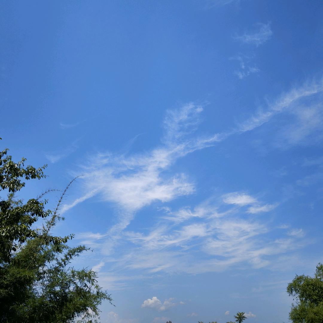 酷野