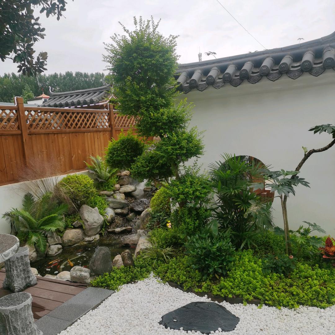 糖宝🍁