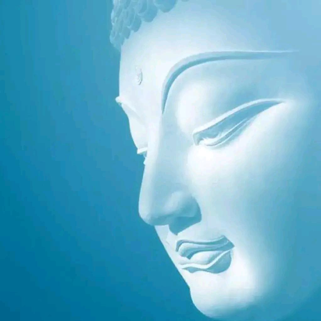 明镜 ❤️ 心舍