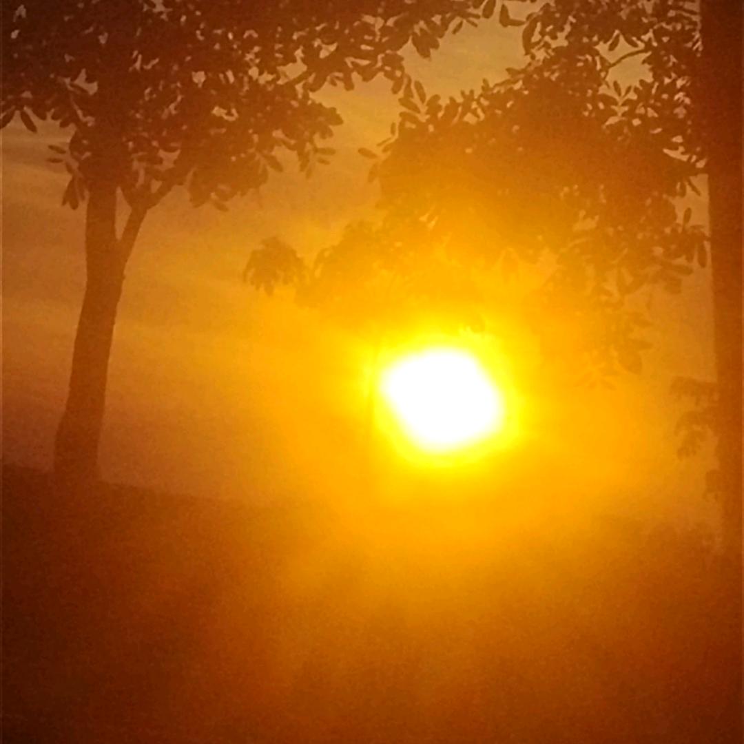 凉薄之！！！！！！