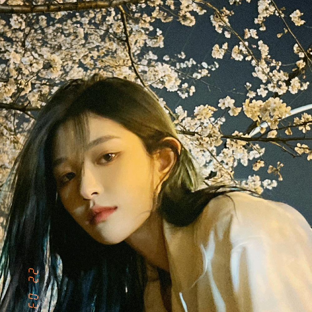 羊毛卷纸