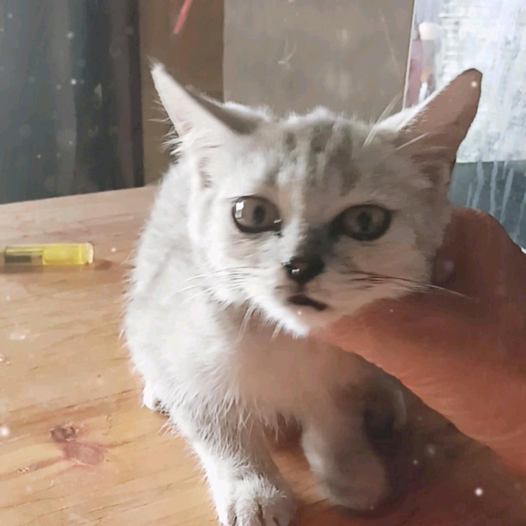 生活更甜蜜