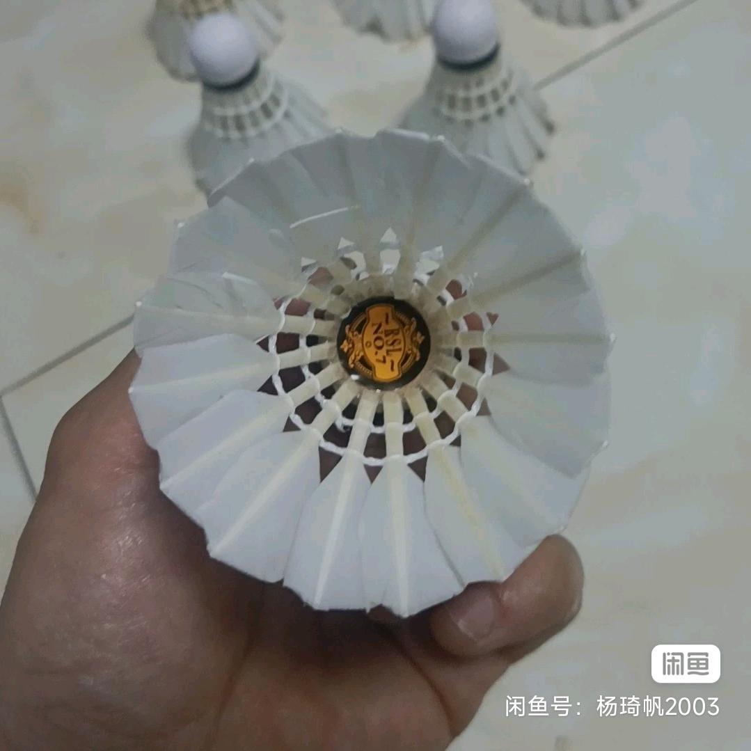 专修羽毛球的大杨哥