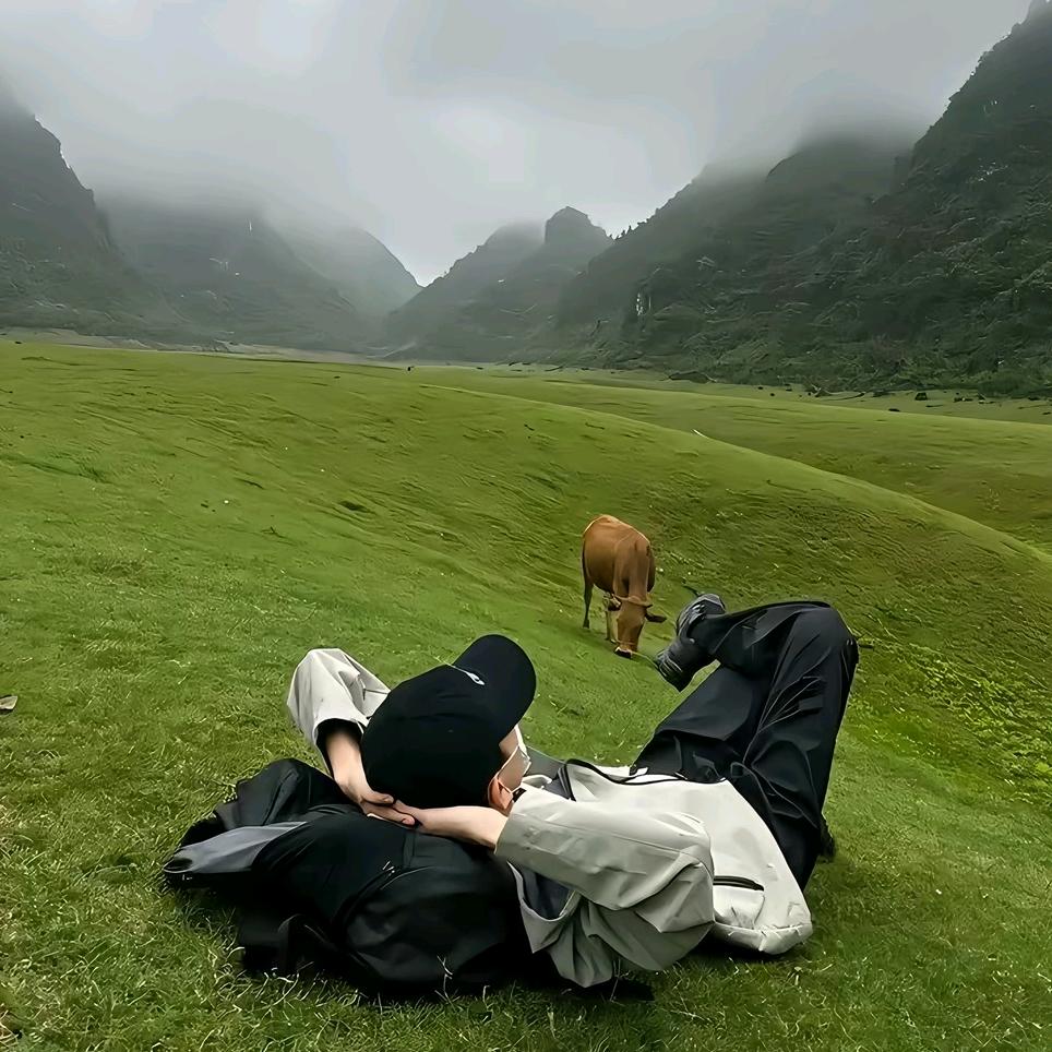💫宁静致远___