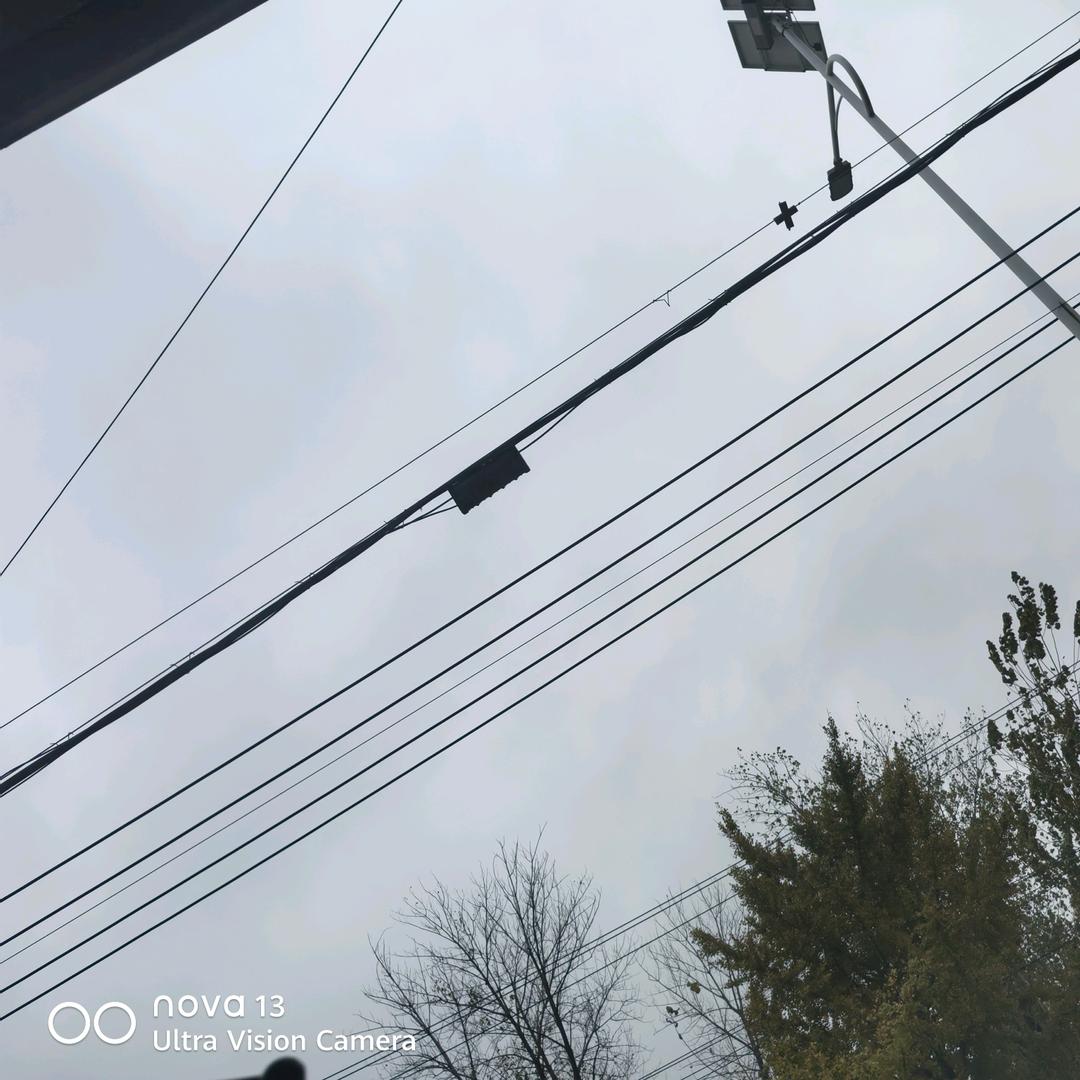 🍊江湖🥭歌们🌶₍ᐢ•ﻌ•ᐢ₎*･ﾟ