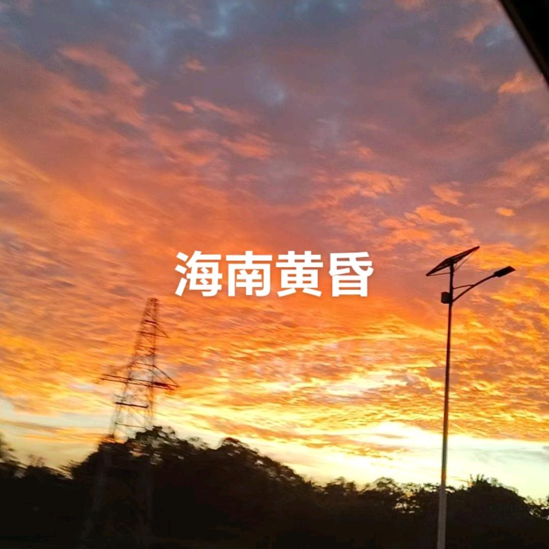 海南热带水果代办