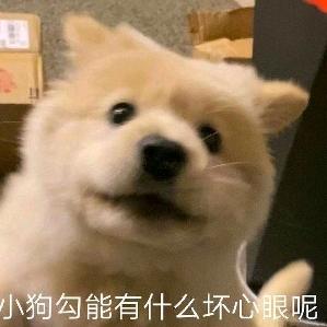 俄罗斯钓鱼4 King