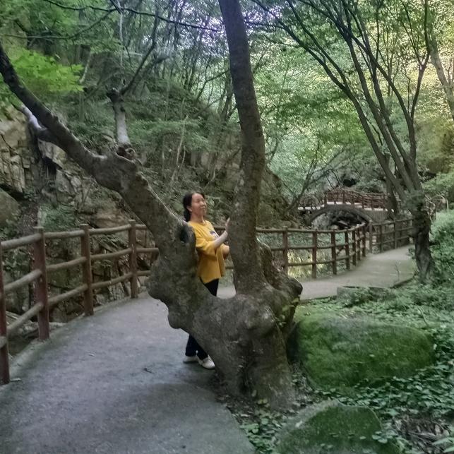 小草～伊人