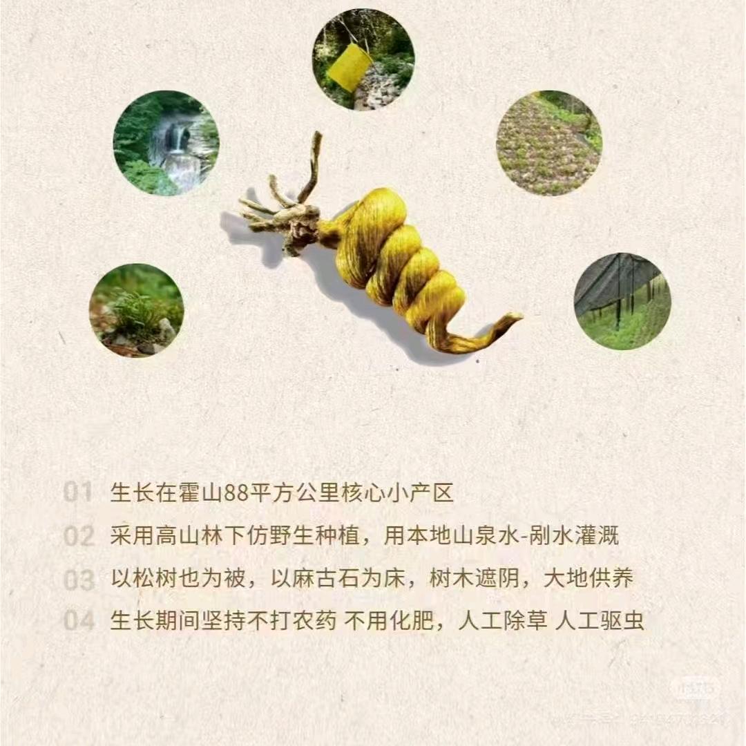 深山米斛（hu）