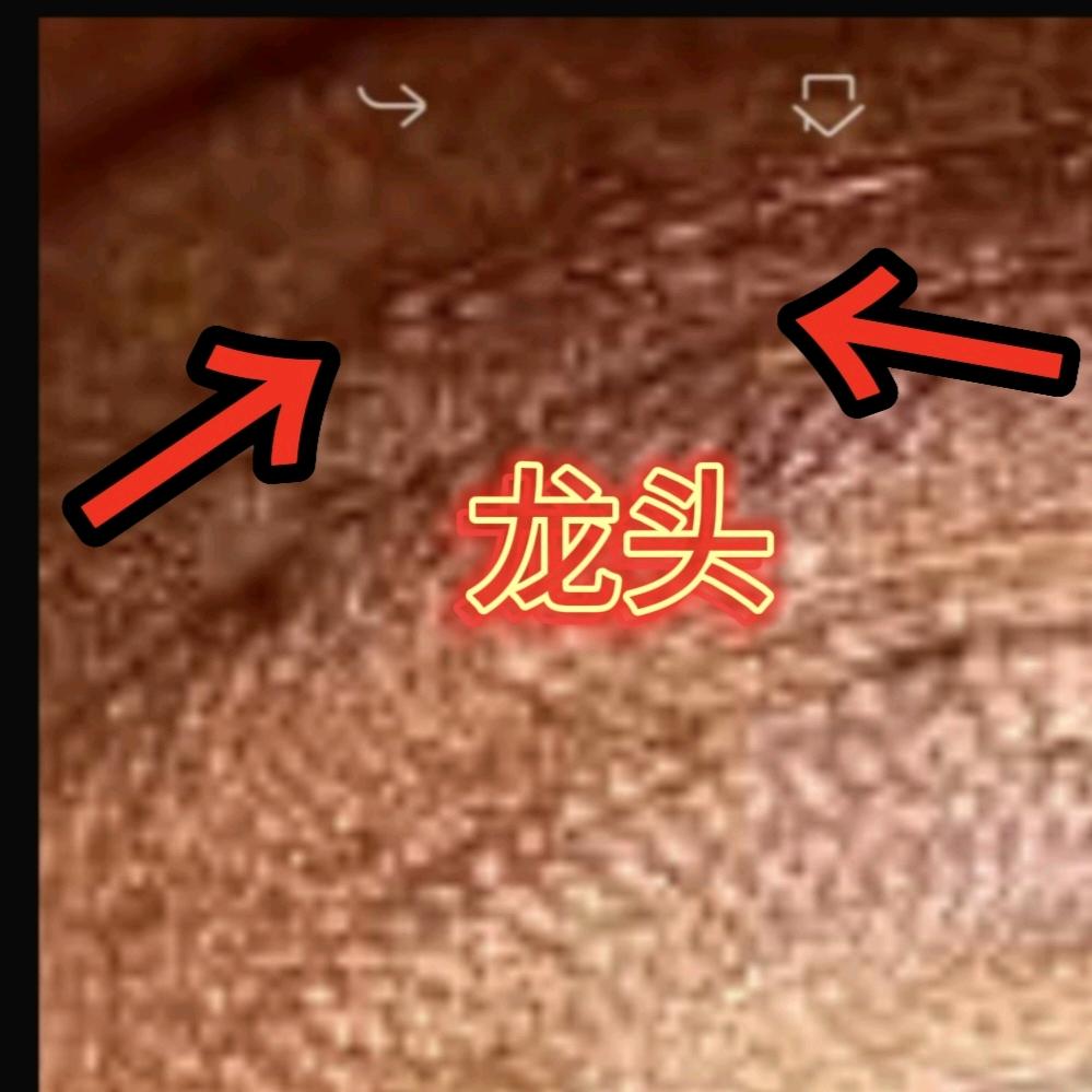 杨老三
