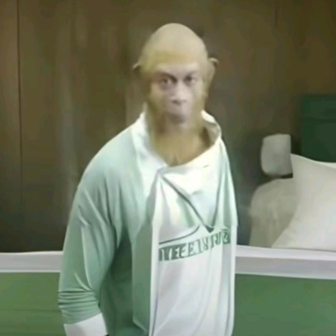 哈家最后一只基米