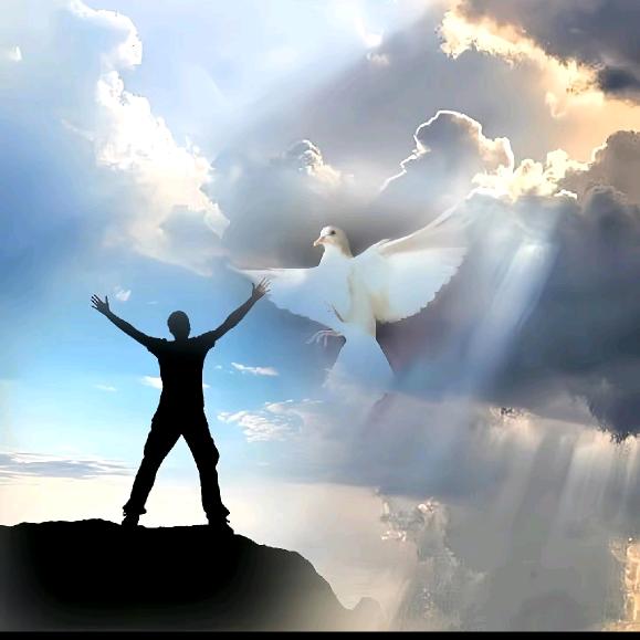 @L.G矮麦冬玉龙草