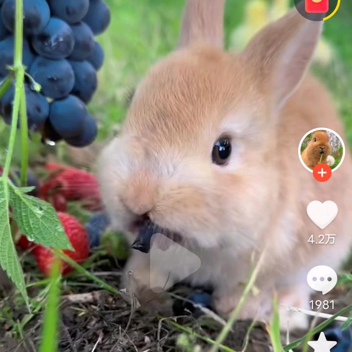 此生永爱