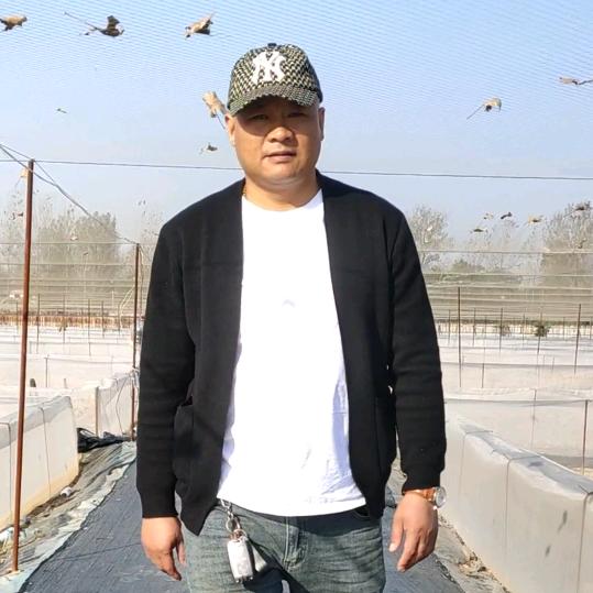 动物中药材养殖基地