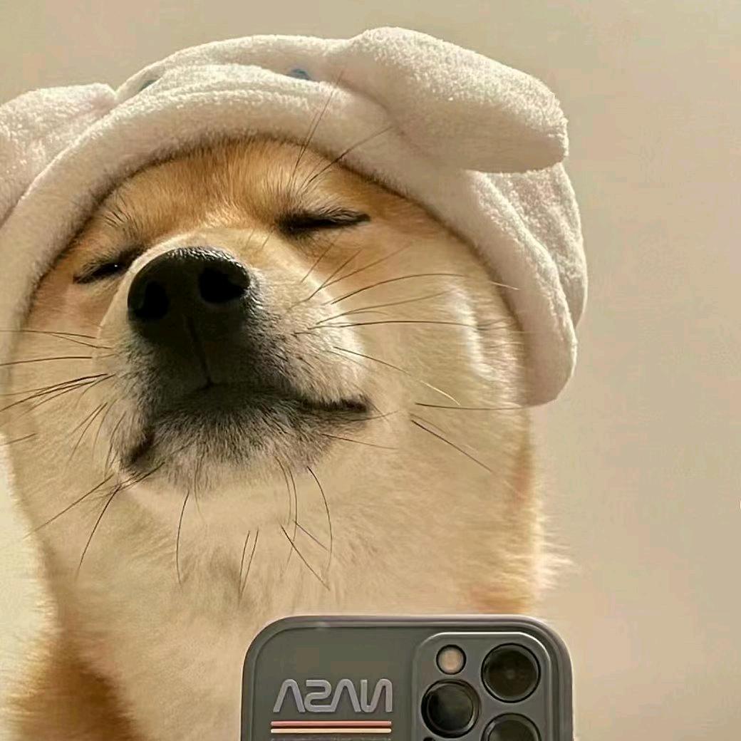 老六⑥不⑥