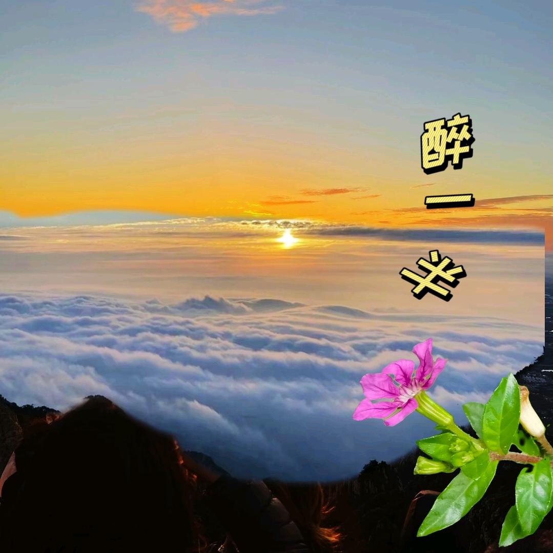 醉一半