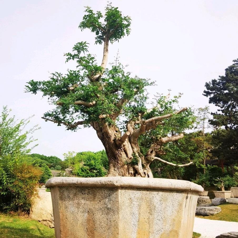 📚🌿墨布🌿📚