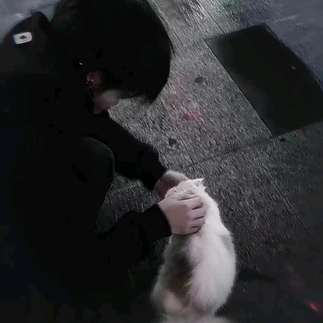 zgt头像