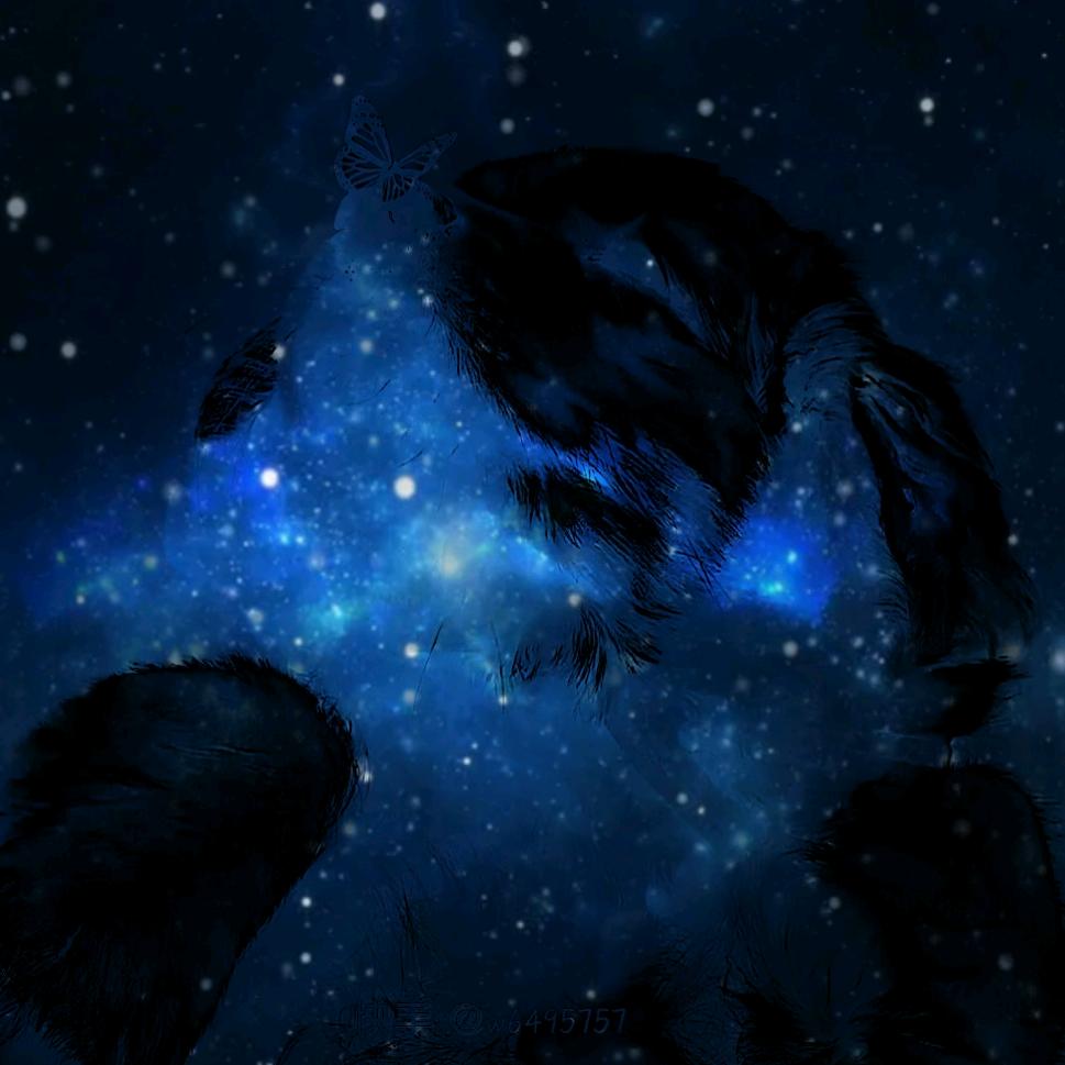 小星辰☄️（绝命毒师）